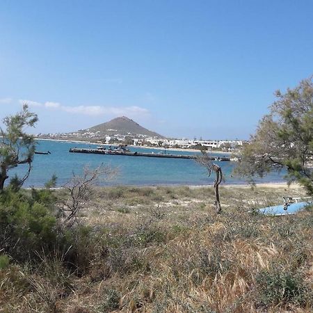 chez irene sweet pension Naxos City Esterno foto