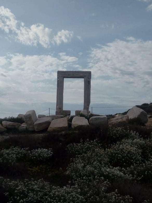 chez irene sweet pension Naxos City Esterno foto