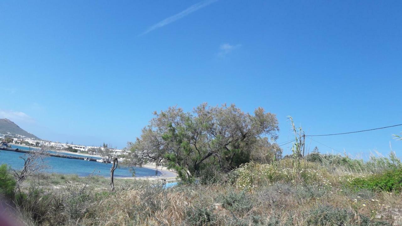 chez irene sweet pension Naxos City Esterno foto